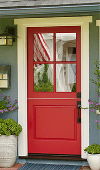 tree body and branches