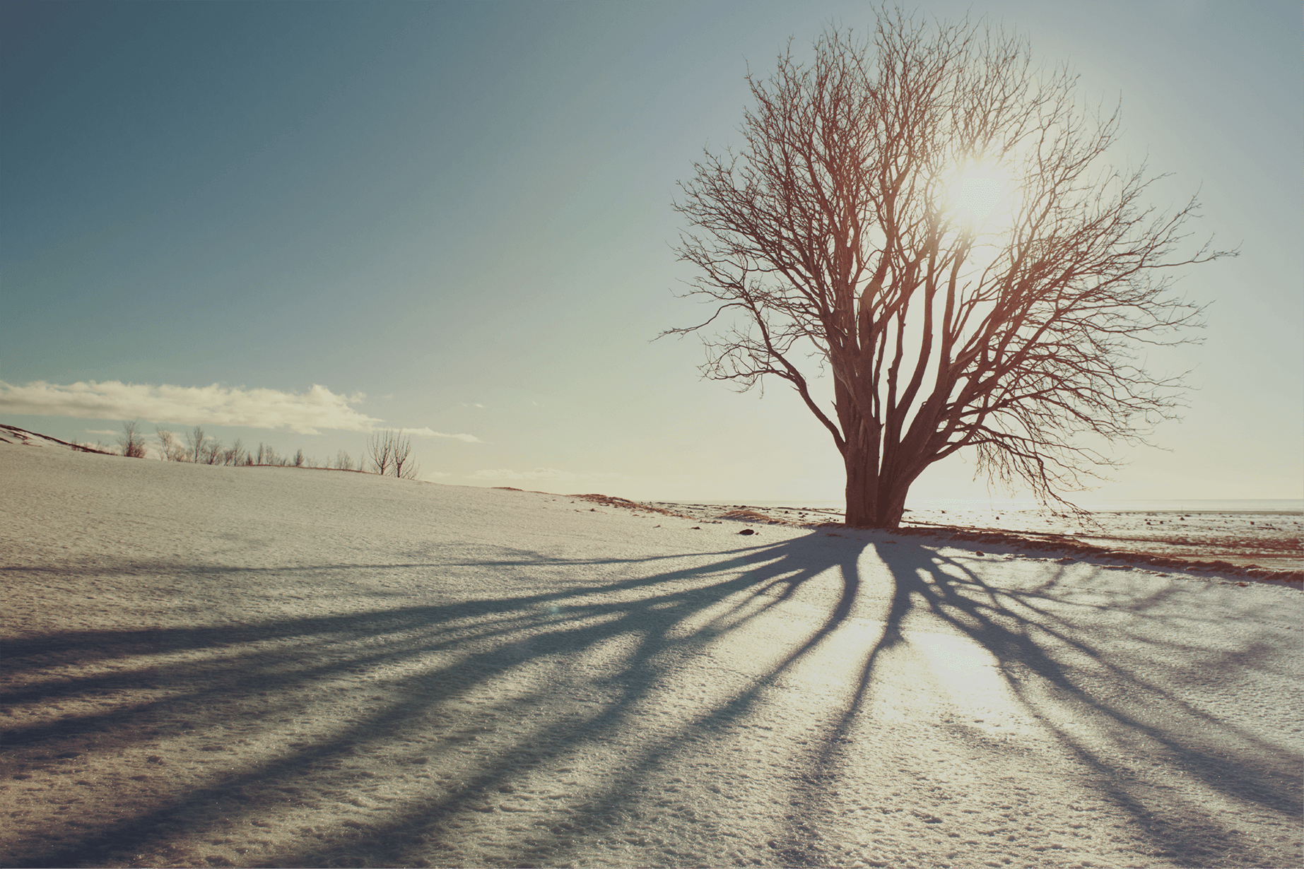 Winter appraisal banner image